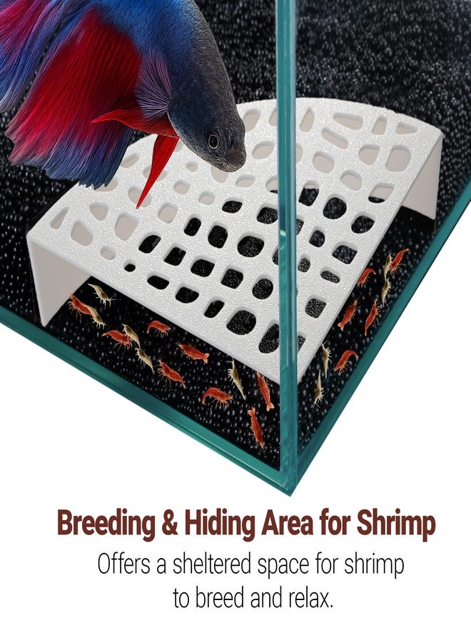 HERPDEN 2-Pack Aquarium Shrimp Shelter Hide, 5.5x4x1.3 inches, Multi-Sized Holes for Cherry and Dwarf Shrimp - Image 2